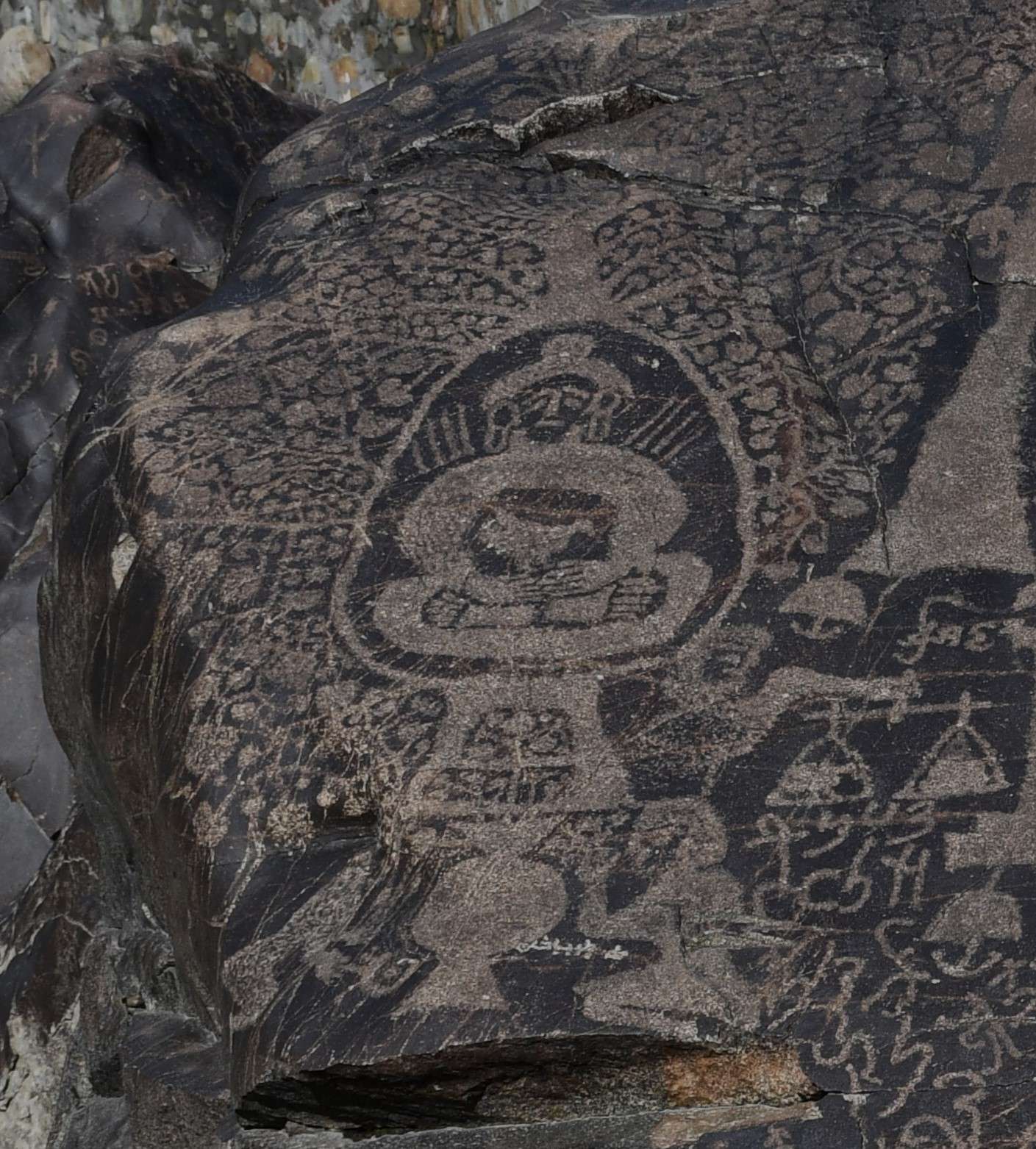 WhatsApp Image 2023-12-02 at 7.09.34 PM